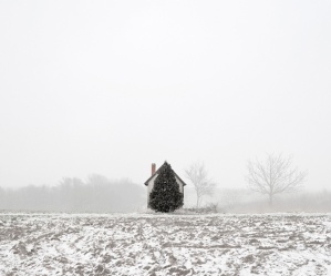 Tamás Dezső, Tree and House (West Hungary, 2011)